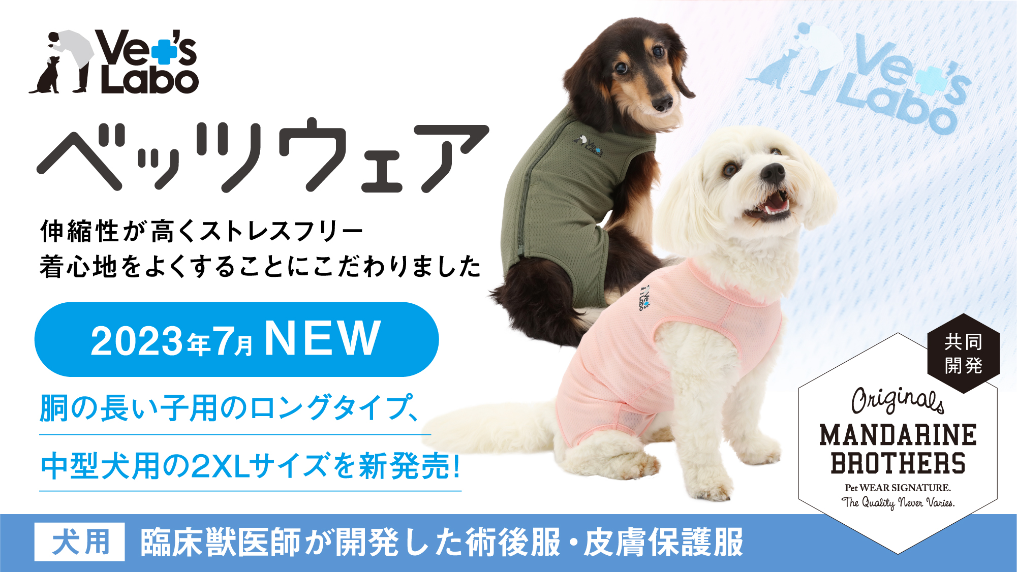 ベッツウェアに新サイズが登場！！ | 株式会社ジャパンペット 